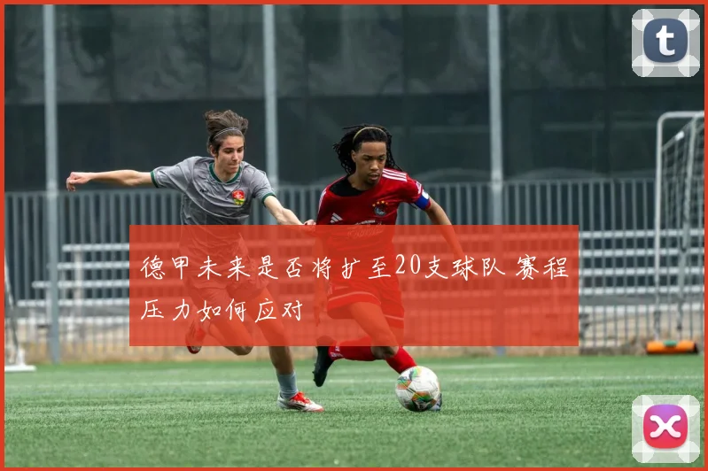 德甲未来是否将扩至20支球队 赛程压力如何应对