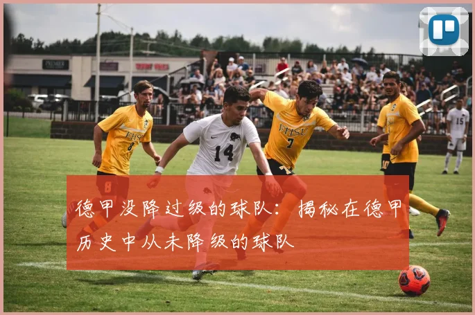 德甲没降过级的球队：揭秘在德甲历史中从未降级的球队