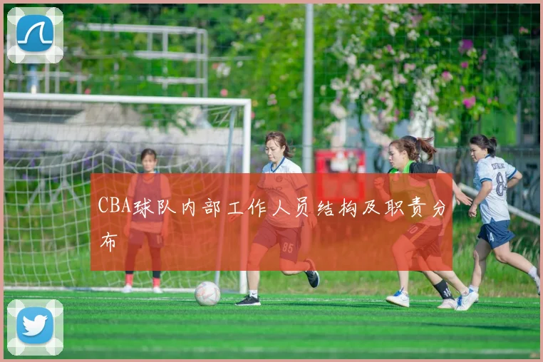 CBA球队内部工作人员结构及职责分布
